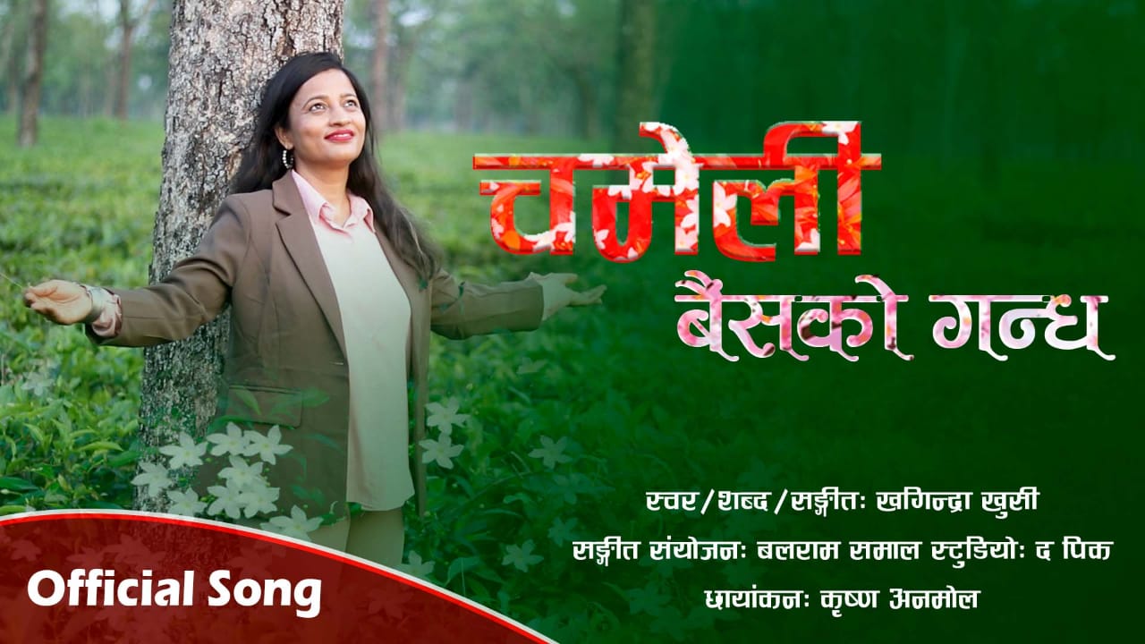 खगिन्द्राको वैंशको गन्ध यसरी फैलियो बजारमा (भिडियो सहित )